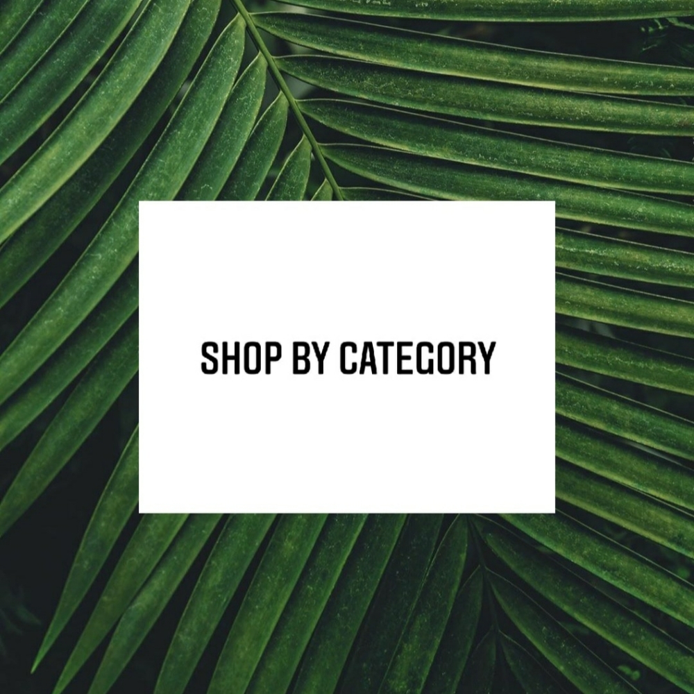 SHOP PLUS SIZE CLOTHING
